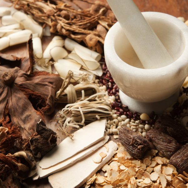 Subject: A variety of Chinese herbal medicine ingredients and a mortar and pestle.